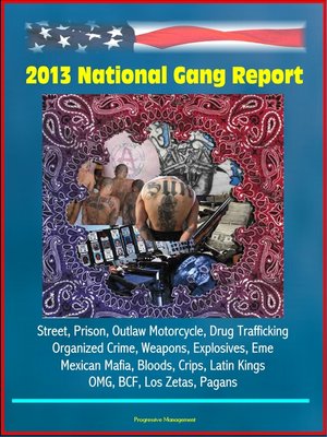 cover image of 2013 National Gang Report